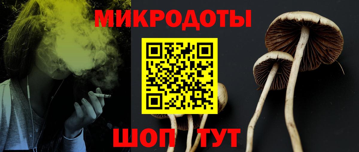 Галлюциногенные грибы прущие грибы  Вход с VPN  Карасук 